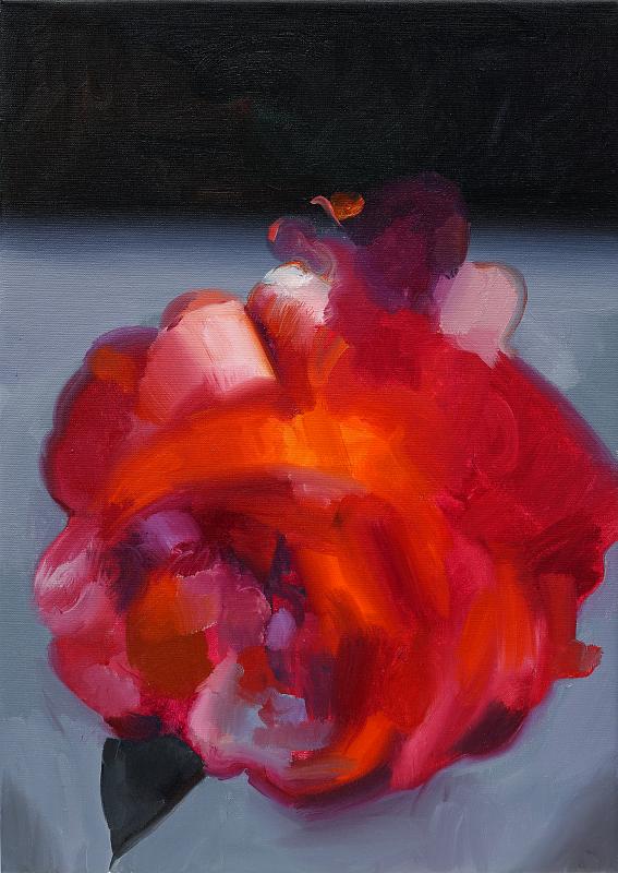Rose Study 2, Painting by Rayk Goetze
