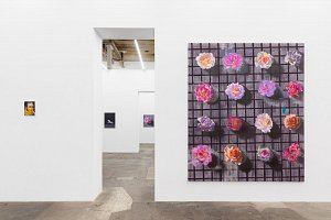 Zärtliche Zeiten,Exhibition